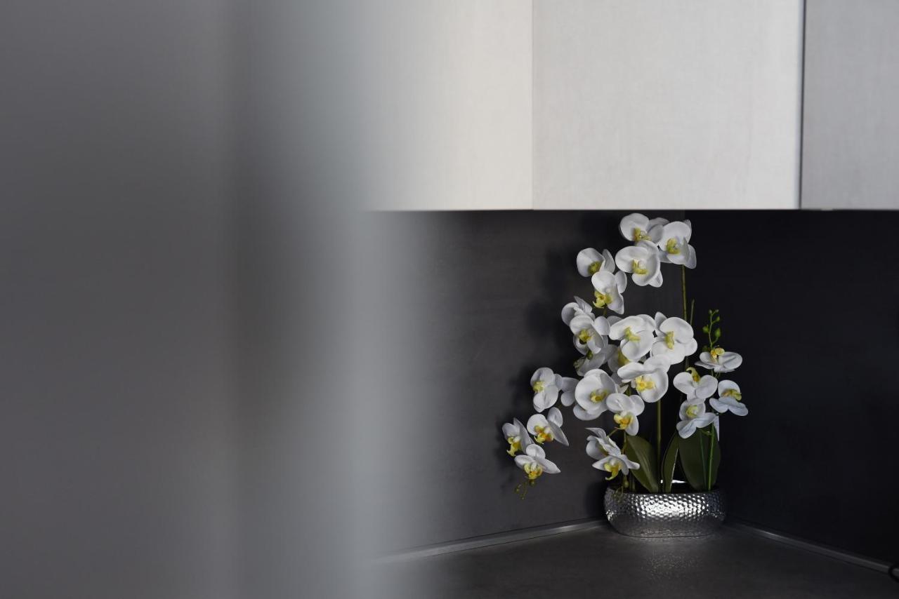 Apartman Niko Zadar Exteriér fotografie